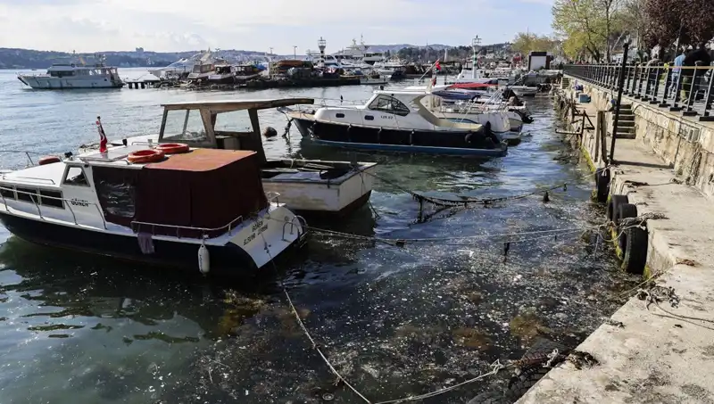 İstanbul'un Denizi Müsilaj Tehdidiyle Yeniden Karşı Karşıya!