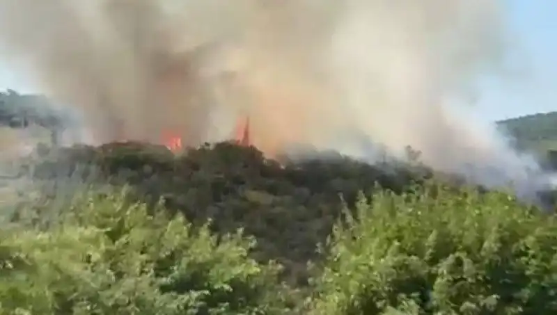İstanbul'da Yangın Felaketi: Ormanlık Alanlarda Tahliye Süreci Başladı!