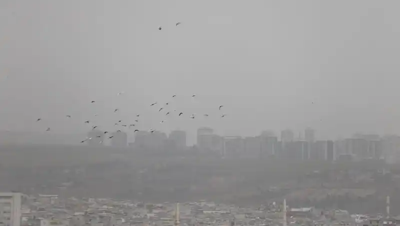 Şanlıurfa'da Görünmezlik Sarmalı: Şehir Toz Bulutuyla Kaplandı