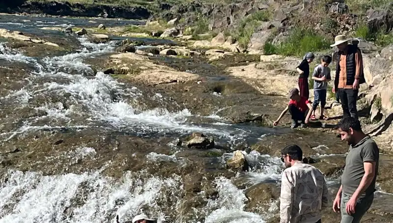 İnci Kefali Göçü: Doğanın Muazzam Gösterisi ve Turistlerin Akını