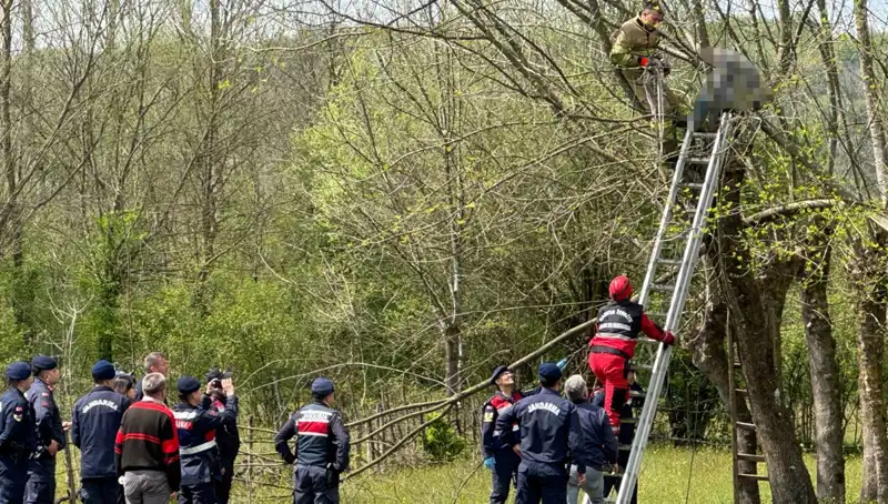 Ağaç Budama İşlemi Hayatını Sonlandırdı: Kalp Krizi Şok Edici Detaylar