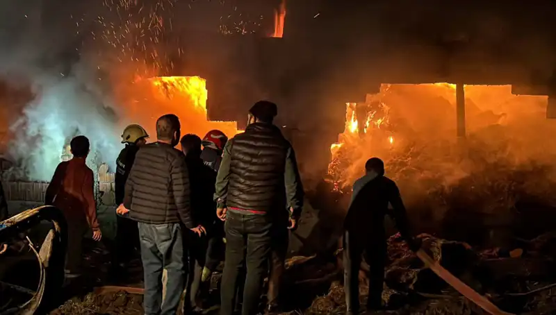 Bolu'da Korkunç Ahır Yangını: Can ve Mal Kayıpları Yaşandı
