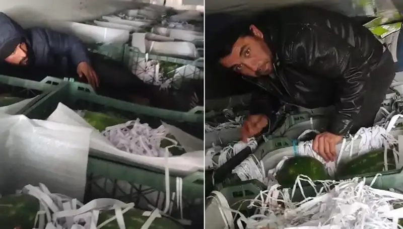 Karpuz Yükü İçinden Şaşırtıcı Kaçak Göçmenler Çıktı