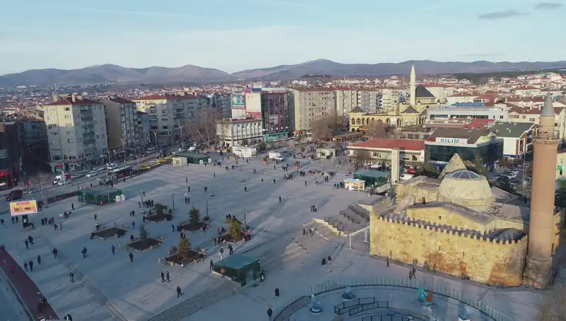 Kırşehir’de Keşfedilen Yeni Böcek Türü Bilim Dünyasında Heyecan Yarattı
