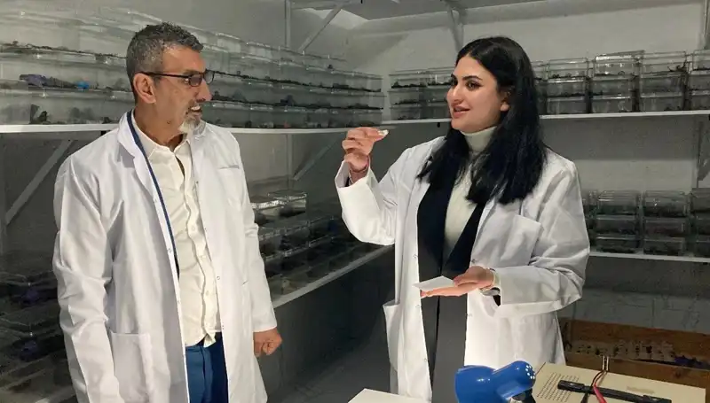 Akrep Zehriyle Şekerle Buluştu: Yeni Bir Lezzet Trendi Yükseliyor!