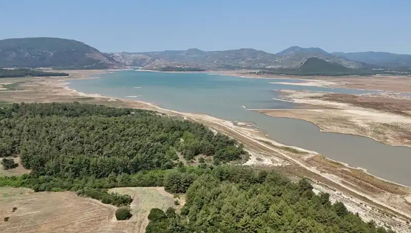 İzmir'de Tehlike Çanları Çalıyor: Geçen Yıla Göre Yüzde 50 Düşüş Yaşandı!