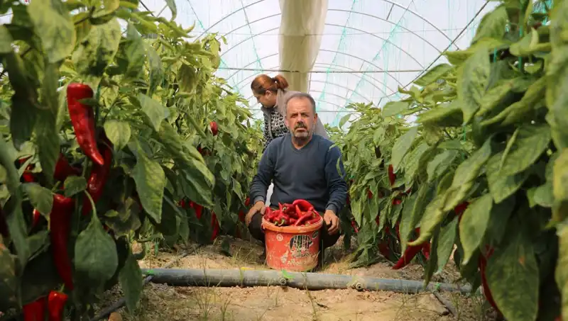 Yeni Fiyatlarla Şok Eden Ürünler: Yüzde 50 Zam Geldi!
