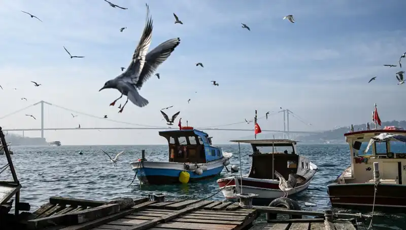 İstanbul’da Bahar Havası Geliyor: Tarih Belli Oldu!