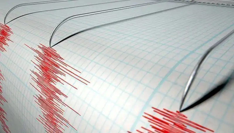 Yeni Zelanda’da Şiddetli Deprem: Halkta Panik ve Kargaşa