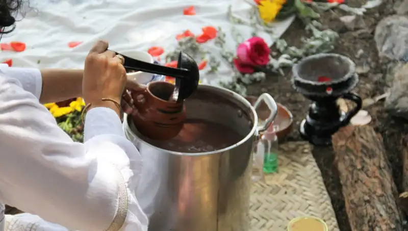 Ayahuasca: Gizemli İyileştirici Bitki Çayı ve Yasal Durumu