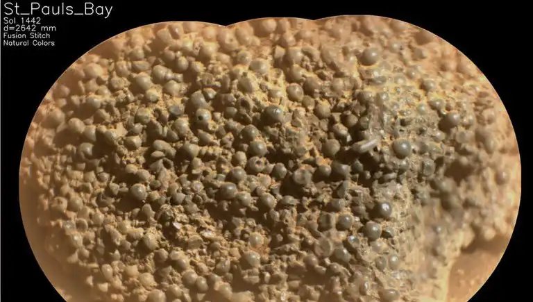 Mars'ta Garip Keşif: Bilim İnsanları "Örümcek Yumurtaları" Buldu!